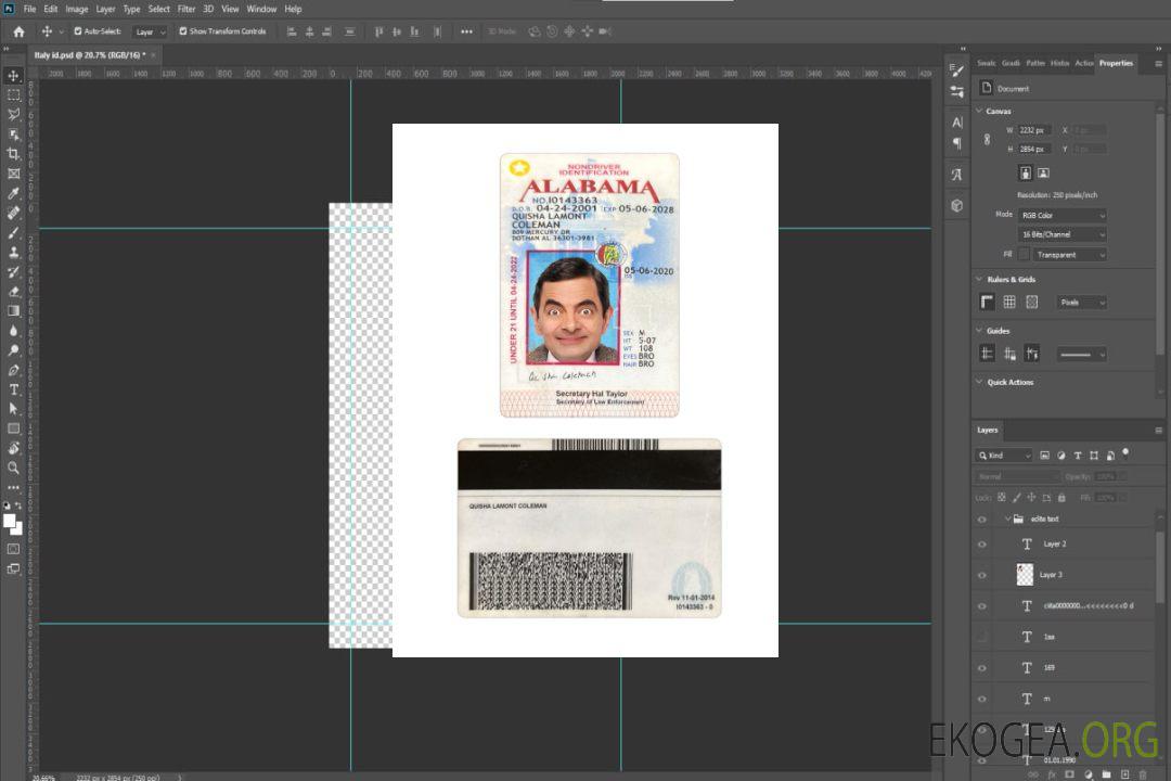 Carte d'identité des moins de 21 ans, États-Unis, Alabama template Carte d'identité des moins de 21 ans, États-Unis, Alabama template